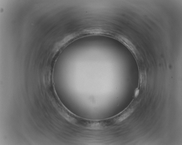 X0000083530301200702161919