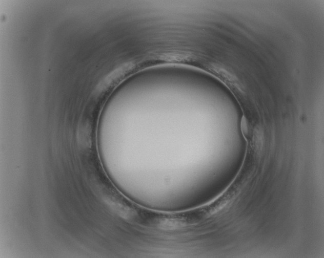 X0000083530303200702161919