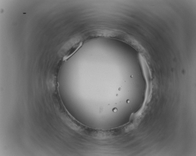 X0000083530305200702161919