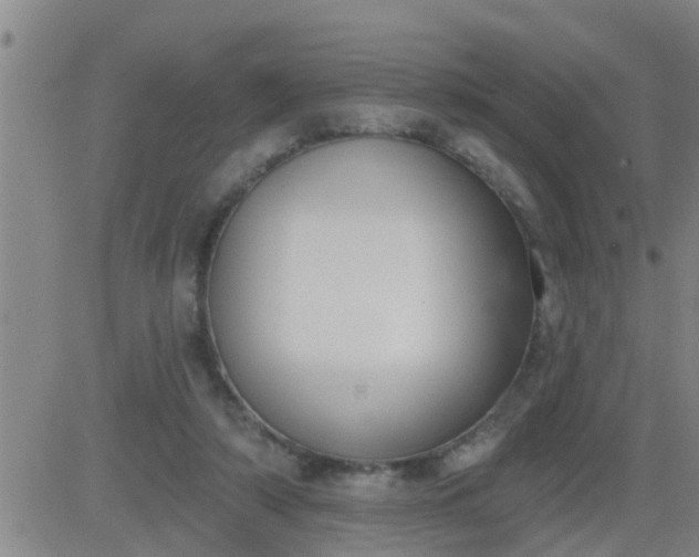 X0000083530306200702161919