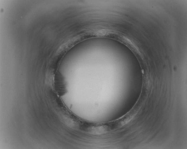 X0000083530307200702161919