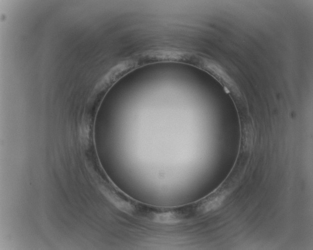 X0000083530309200702161919