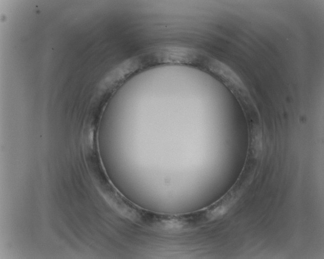 X0000083530310200702161919