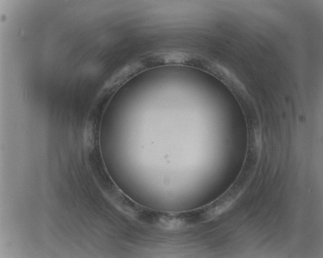 X0000083530311200702161919