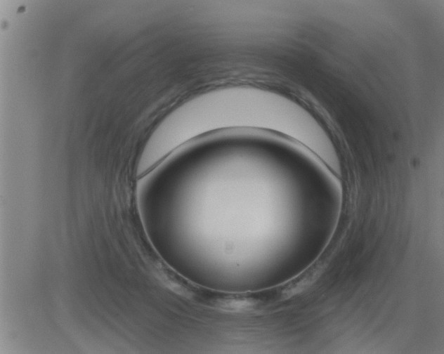 X0000083530313200702161919