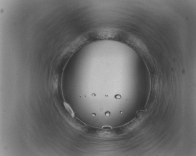 X0000083530315200702161919