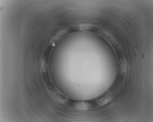 X0000083530316200702161919