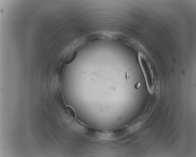 X0000083530318200702161919