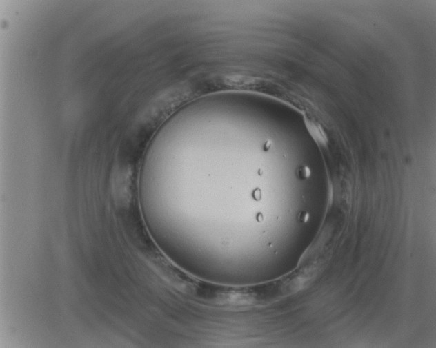 X0000083530319200702161919