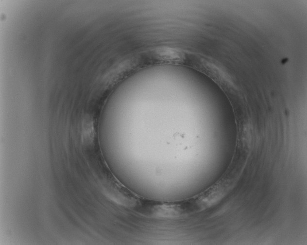 X0000083530320200702161919