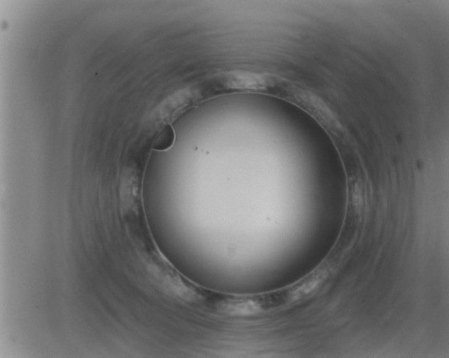 X0000083530322200702161919