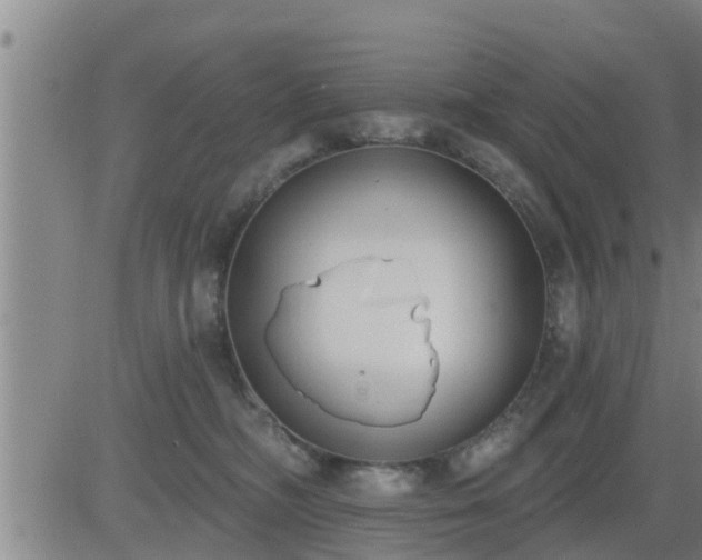 X0000083530326200702161919