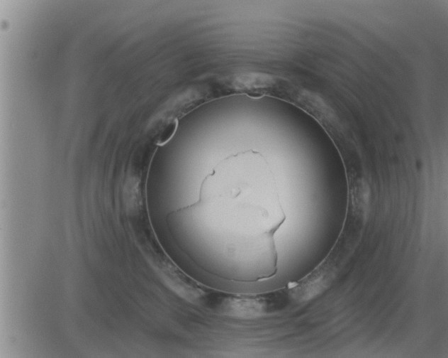 X0000083530327200702161919