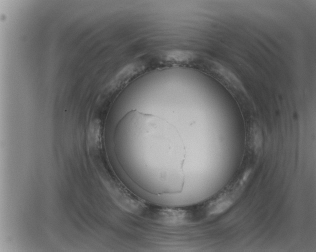 X0000083530328200702161919