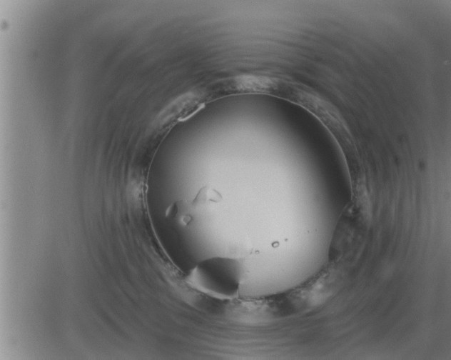 X0000083530329200702161919