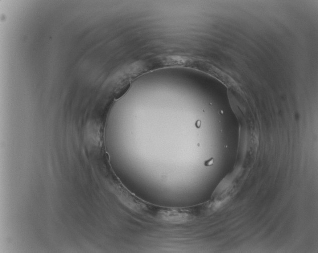 X0000083530331200702161919