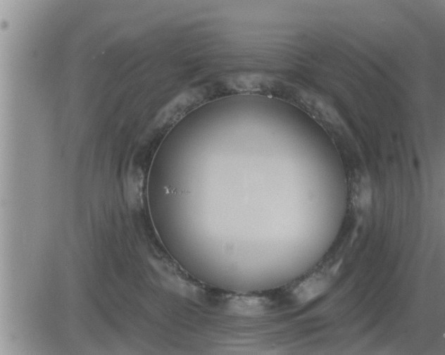 X0000083530332200702161918