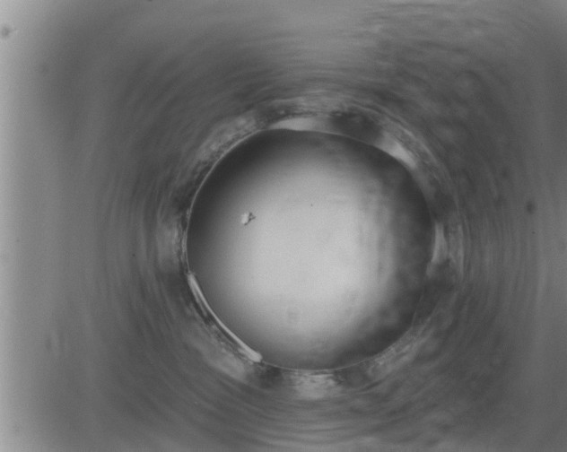 X0000083530333200702161918