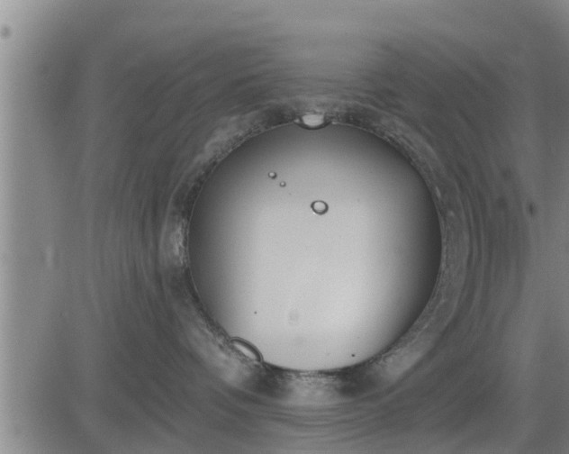 X0000083530336200702161918