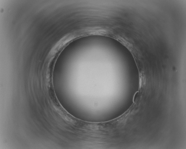 X0000083530339200702161918