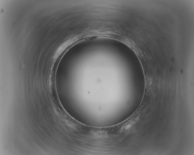 X0000083530340200702161918