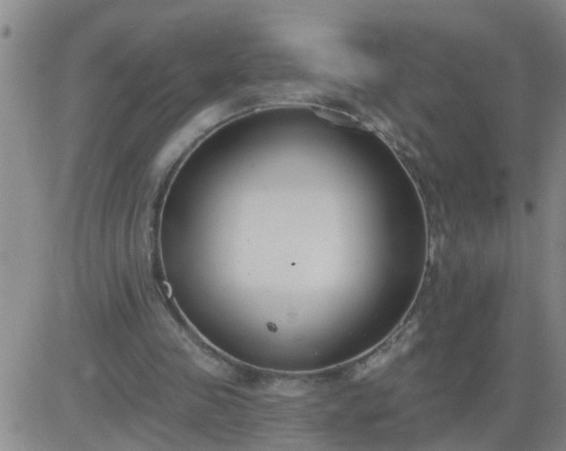 X0000083530341200702161918