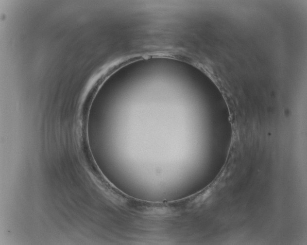 X0000083530342200702161918