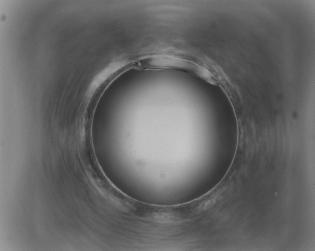 X0000083530344200702161918