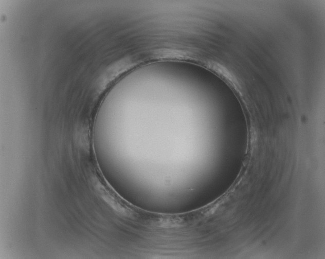 X0000083530345200702161918