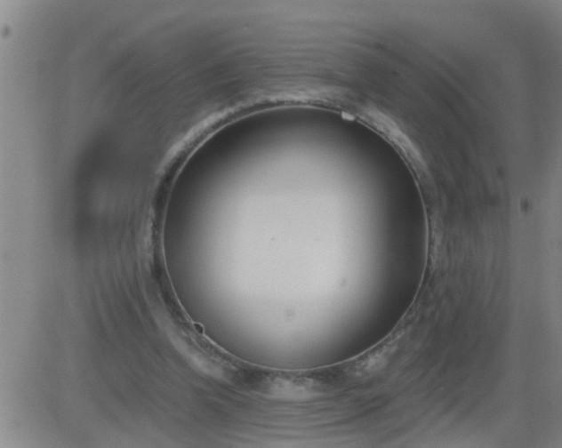 X0000083530346200702161918