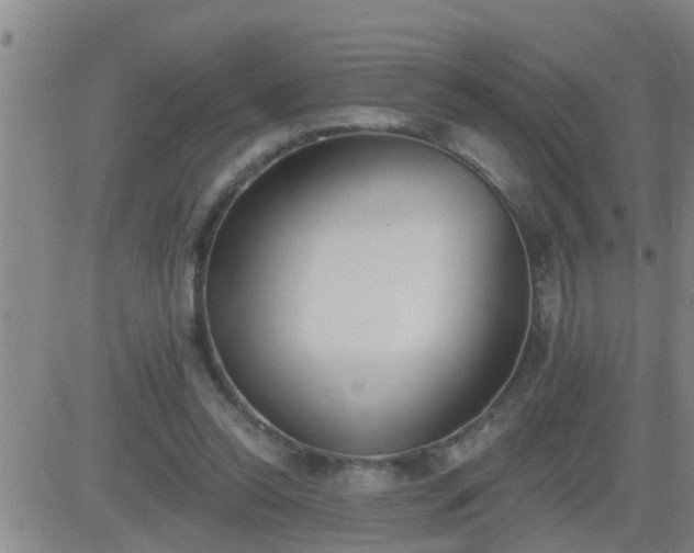 X0000083530350200702161918