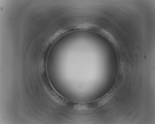 X0000083530354200702161918