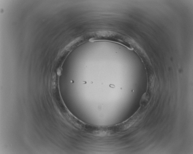 X0000083530356200702161918