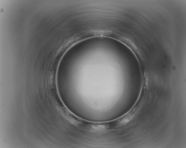 X0000083530357200702161918