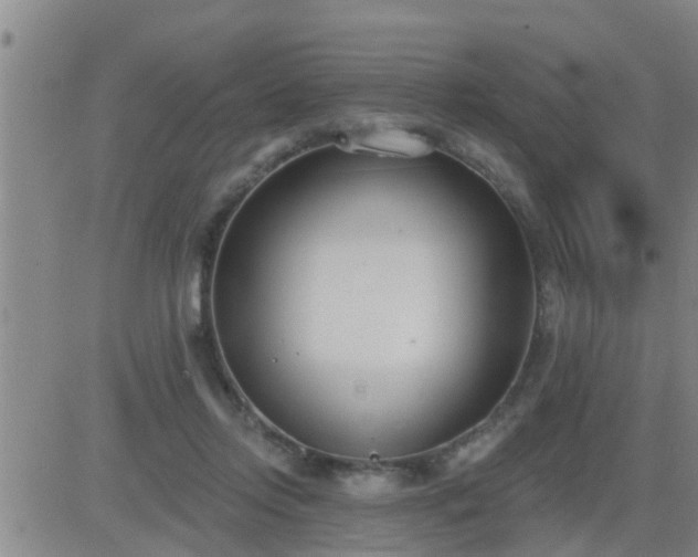 X0000083530358200702161918