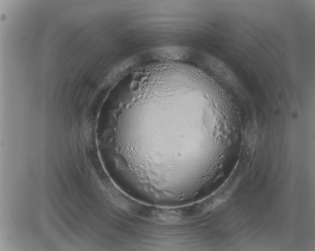 X0000083530359200702161918