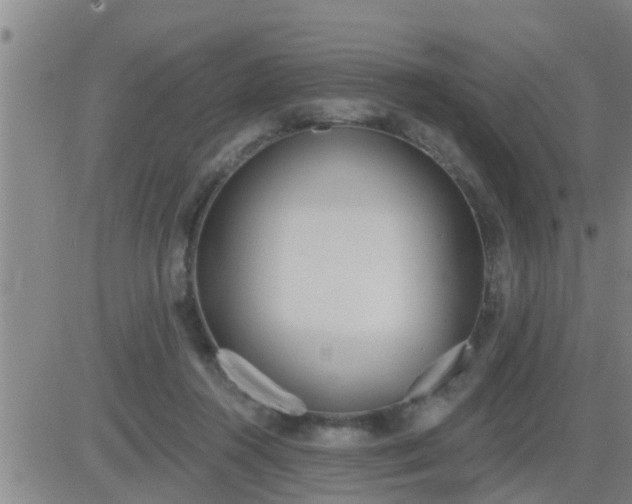 X0000083530360200702161918