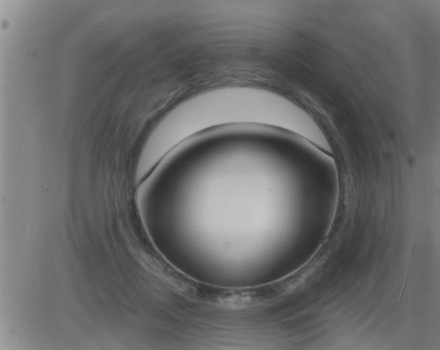 X0000083530362200702161918