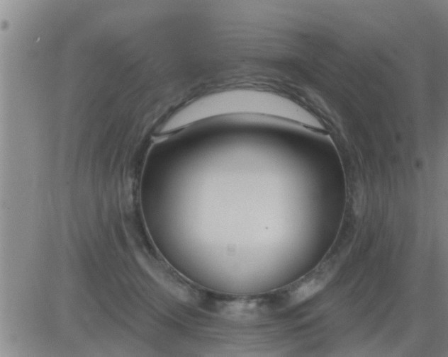 X0000083530366200702161918