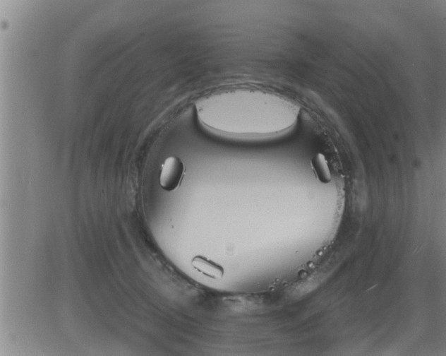 X0000083530370200702161918