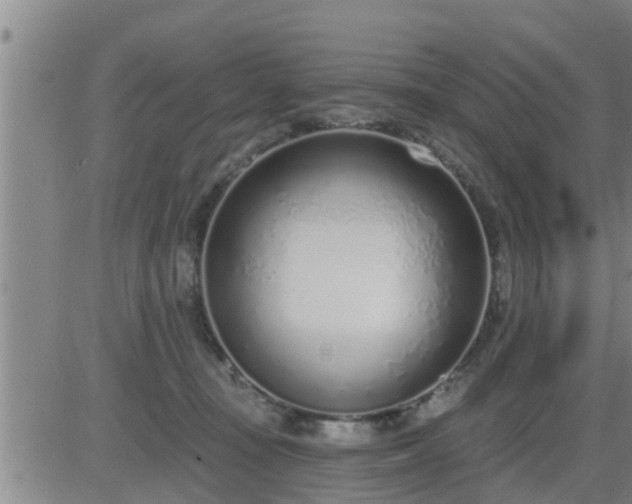 X0000083530371200702161918