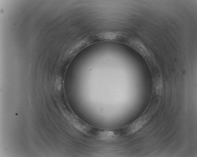 X0000083530374200702161918