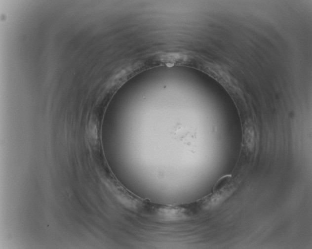 X0000083530375200702161918