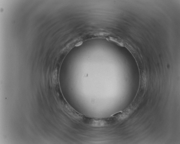 X0000083530376200702161918