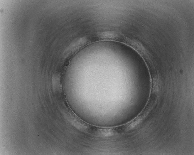 X0000083530377200702161918