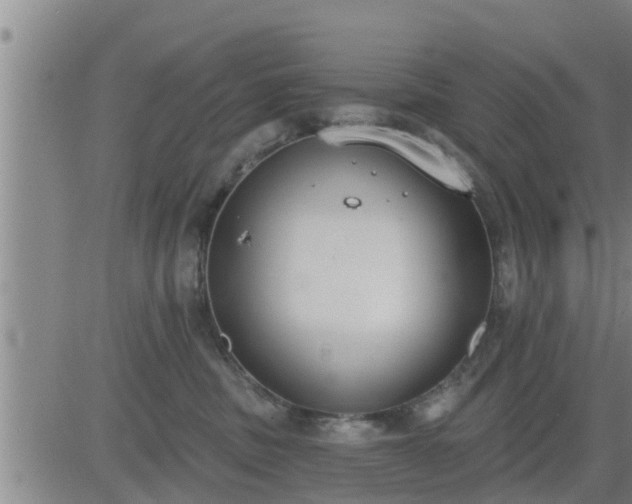 X0000083530379200702161918