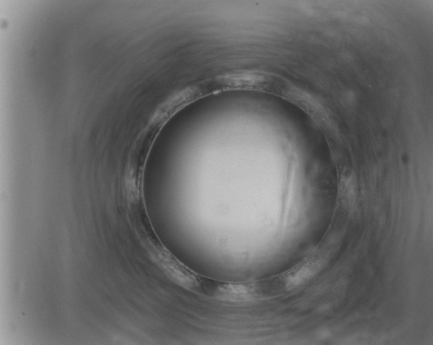 X0000083530381200702161918