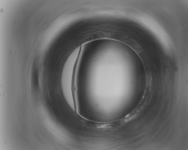 X0000083530382200702161918