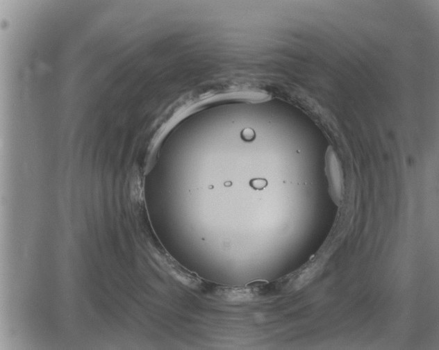 X0000083530384200702161918