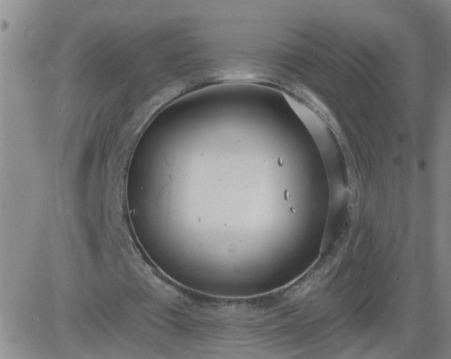 X0000083530385200702161918